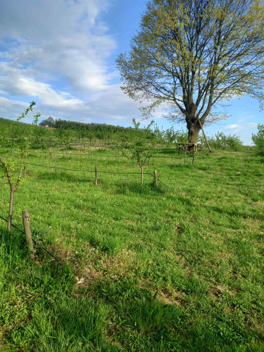 Prodaja 0-soban stan SOPOT 0m²