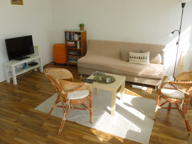 Prodajemo garsonjeru, Brace Jerkovic, 31m² - slika 2